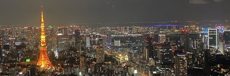 nintendopandax model beautiful image