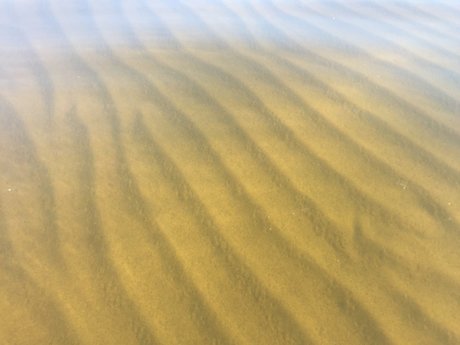 Nina NorthStar perfect actress picture