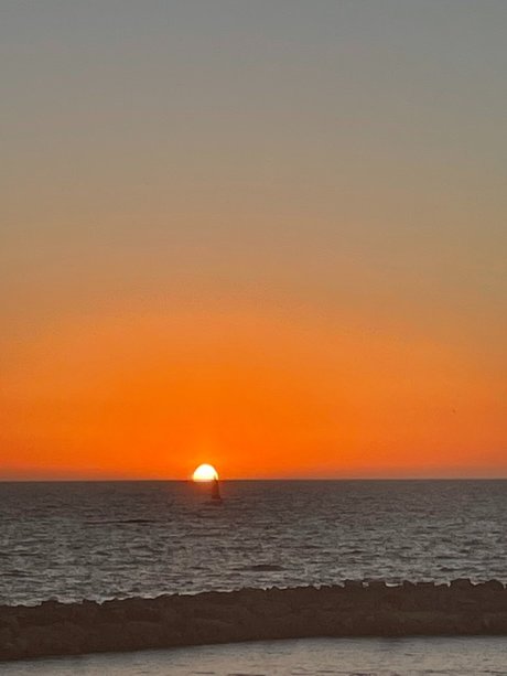 nina_ perfect star photos