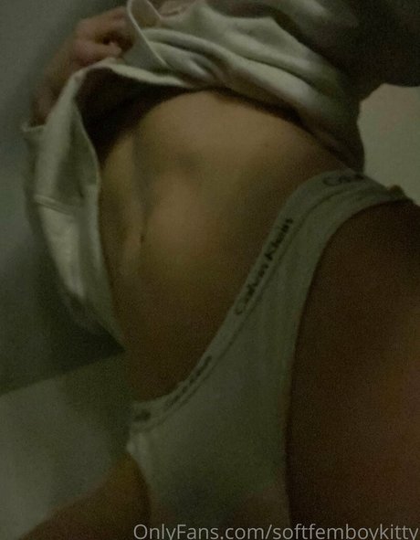 softfemboykitty high quality actress image