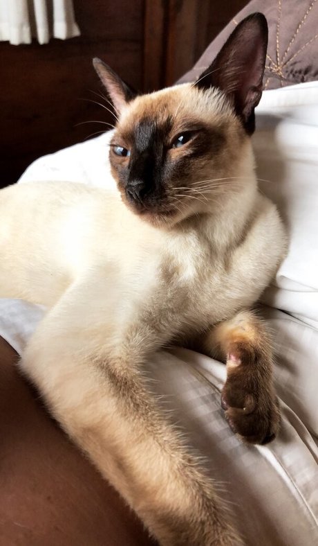 amateur latina onlyfans nudes gallery