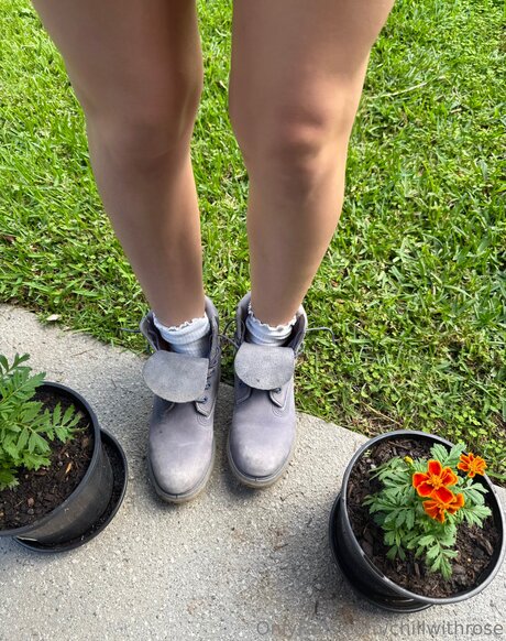 chillwithrose star porn pics