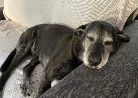 double penetration onlyfans beautiful porn pic