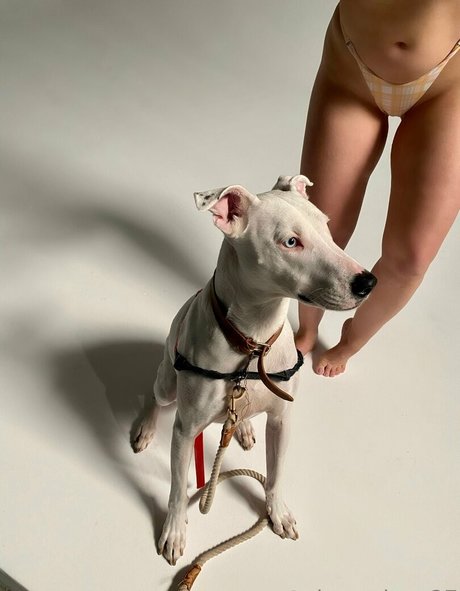 real teacher onlyfans sex archive