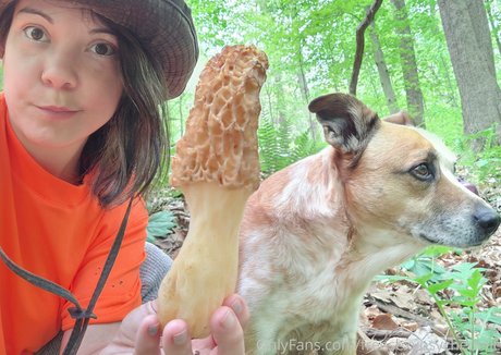 freesexypsychedelic star perfect gallery