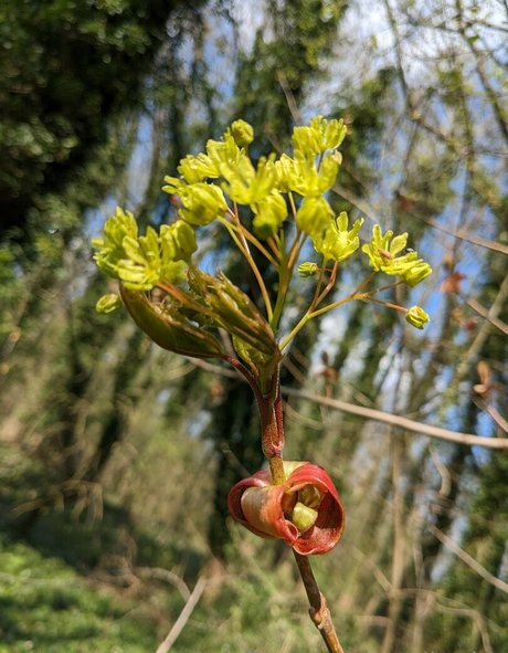 nataliewinz perfect actress pic