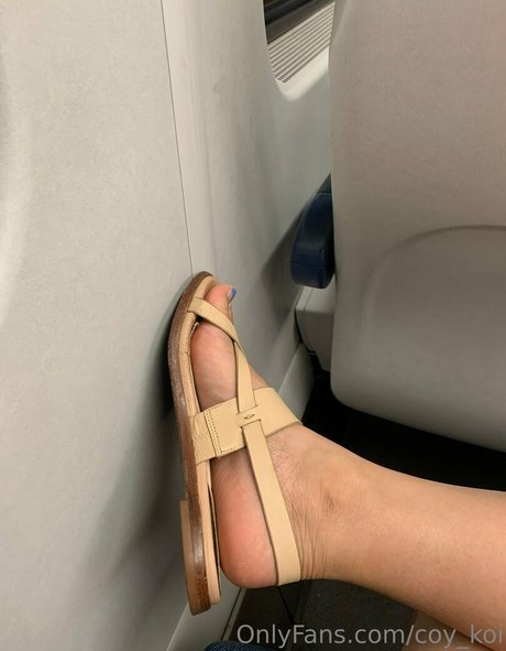 coy koi beautiful star pic