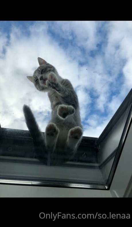 ebony shower onlyfans hot porn pic