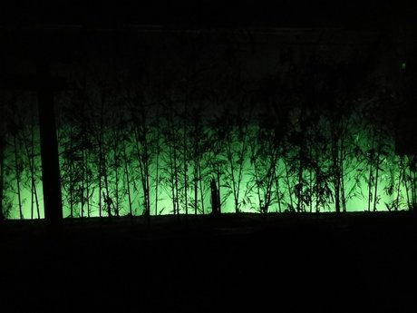 Asian dork nude star photos