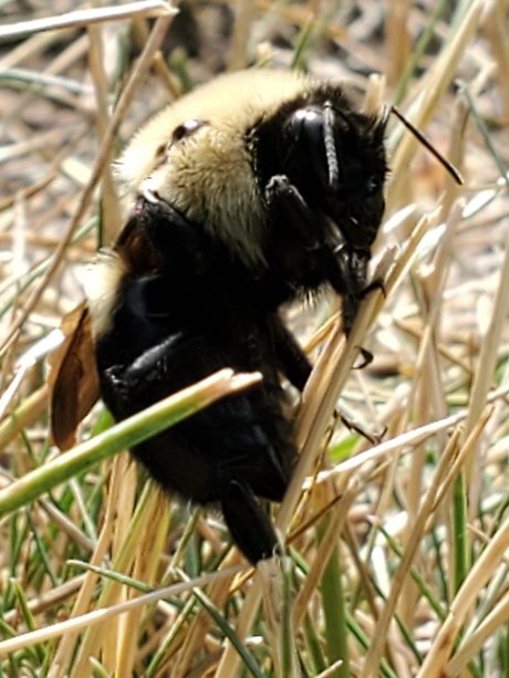 mirror onlyfans beautiful image