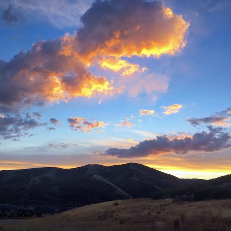 Alexander Mecum porn star gallery