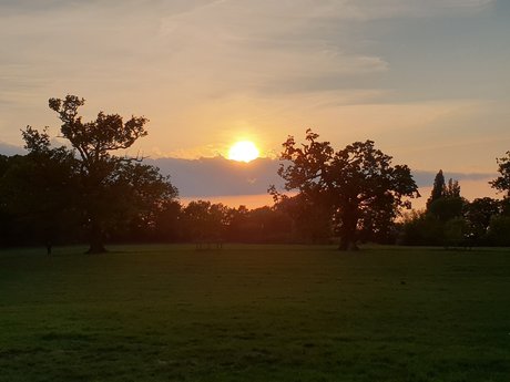 bbc slut onlyfans sexy xxx archive