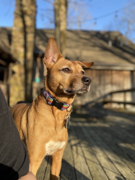 Kat G nudes actress img