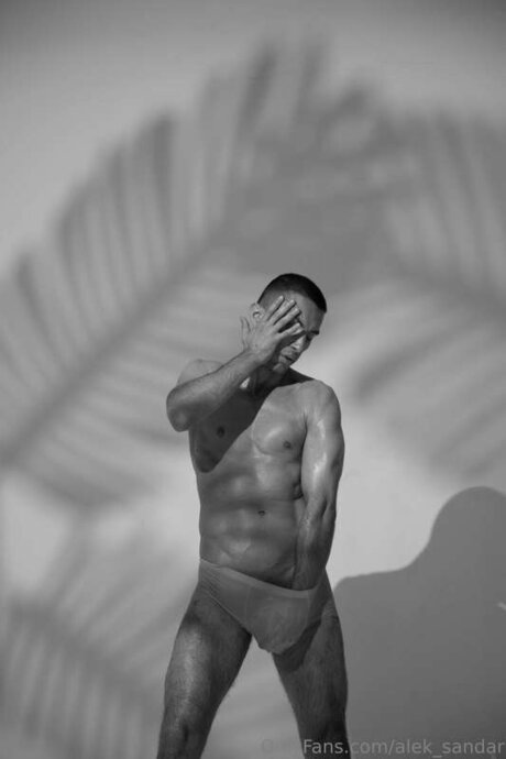 Alek Sandar pornstar erotic picture