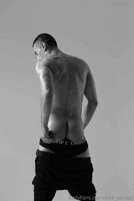 Alek Sandar model high quality pic