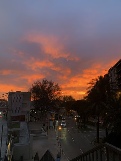 Mork perfect star photo