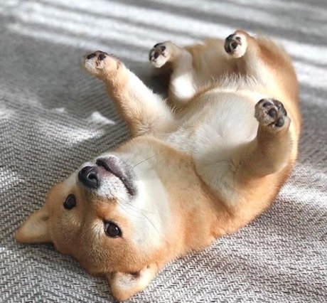 asherahsweetie_ best model photo