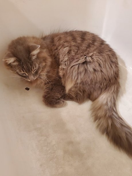 swinger milf onlyfans free nude photo