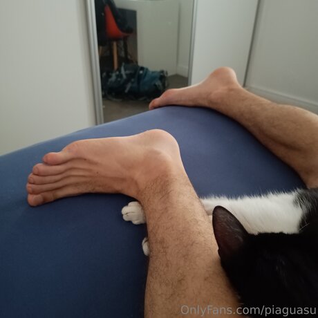 Pi Guasu model perfect images