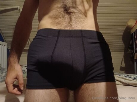 Pi Guasu model top galleries