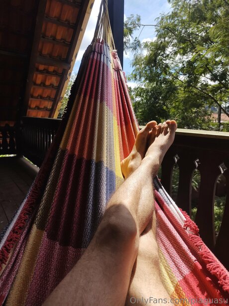 Pi Guasu model hot img