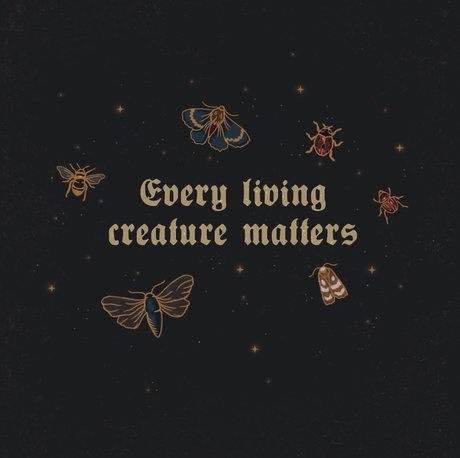 Tokyo_ sex actress archive