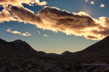 PogiNeko pornstar naked picture