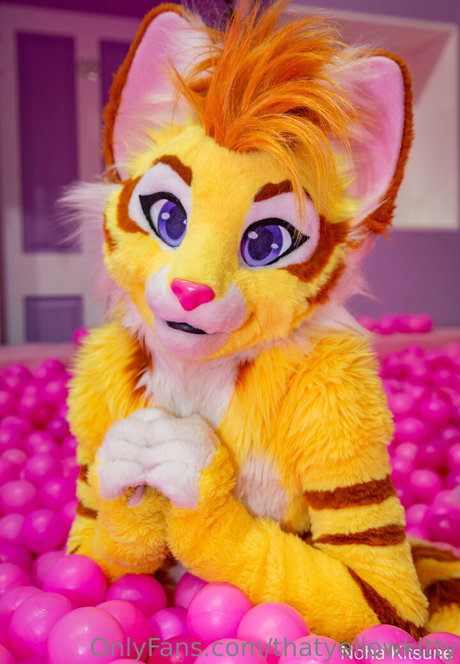 thatyellowkitty model best image