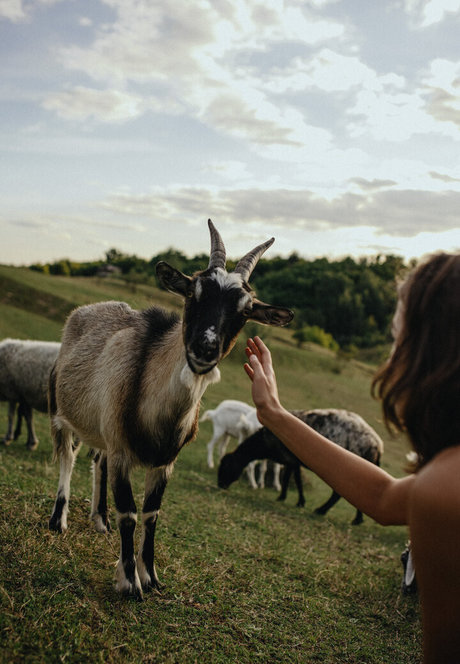 Julia Slip high quality model img