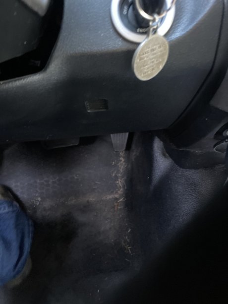 Coach30563 model high quality photos