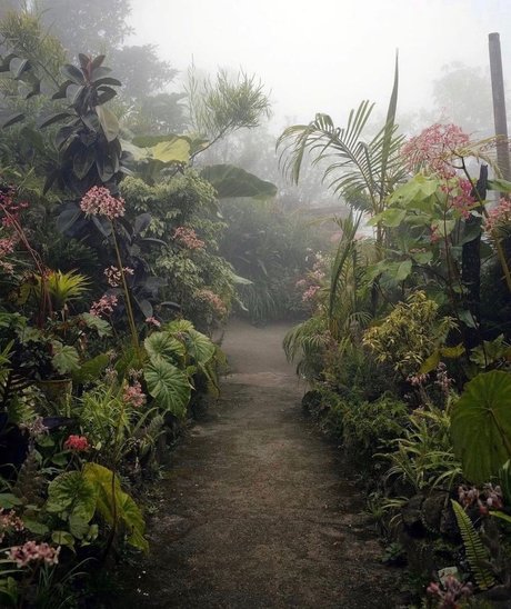 Depeche Ho model image