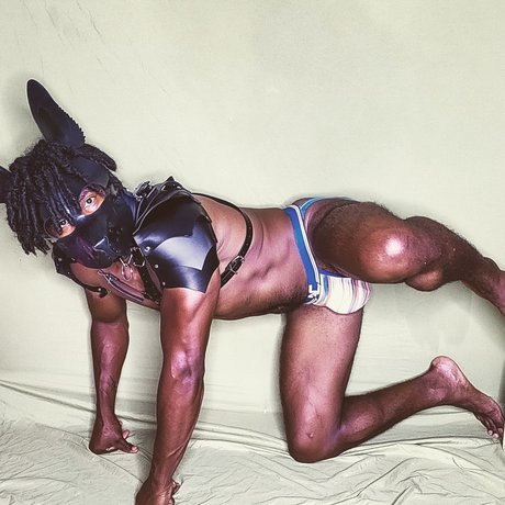 GRIZZLY model art galleries