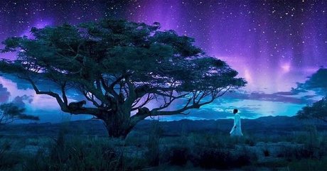 PrynceCharmingg perfect pornstar picture