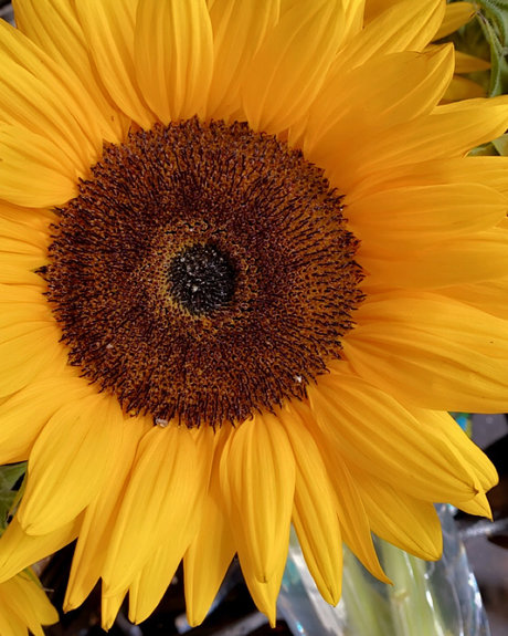 Queen M naked model img