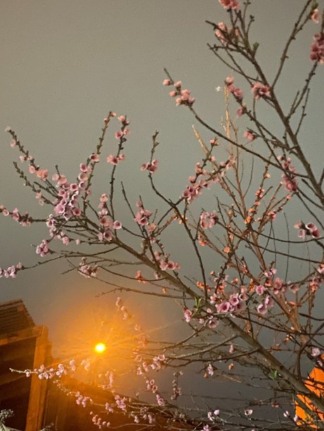 edgardo barraza star pornographic pictures