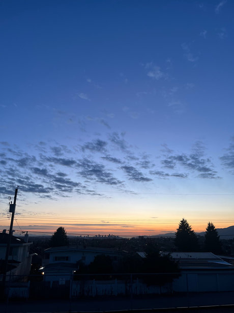 bbw lesbian onlyfans pornographic photo