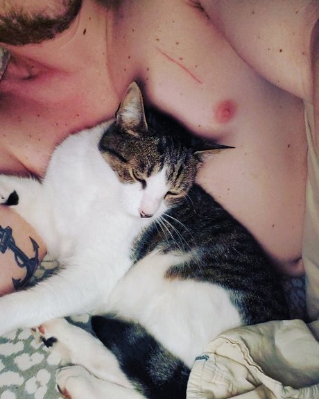 Donnie Bunz nude pornstar photo