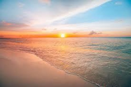 What The Feet_ hot star pictures