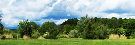 u32946953 star xxx image