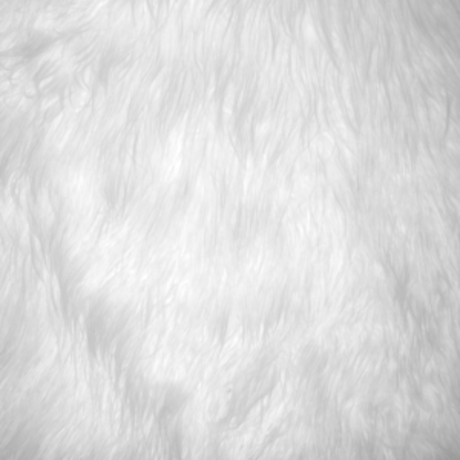 Raya_ pornstar erotic gallery