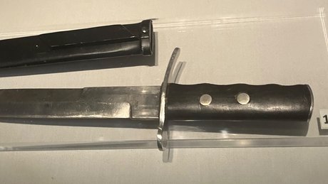 Real_ pornstar top galleries