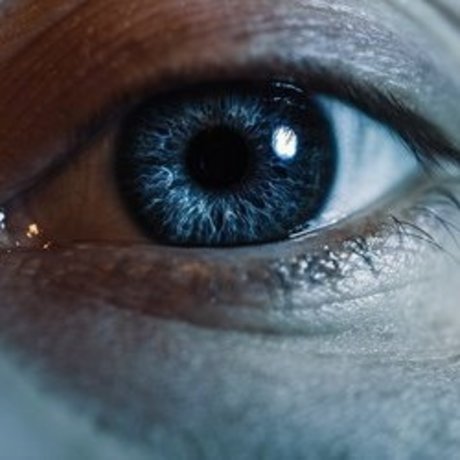 Roman Gutikov naked pornstar photo