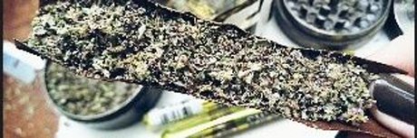 Moldovan Rare_ model art img