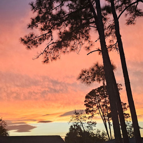 Riley Elizabeth pretty star picture