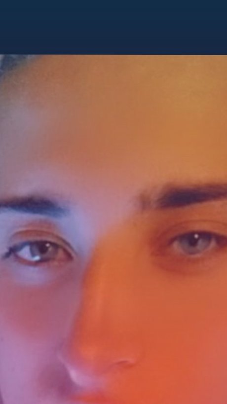 Brian pijon perfect actress picture