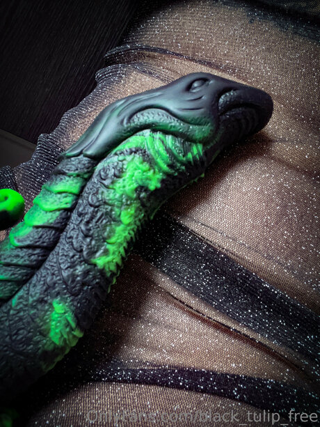 rubber tulip nice star img