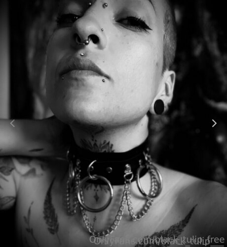 rubber tulip erotic star picture