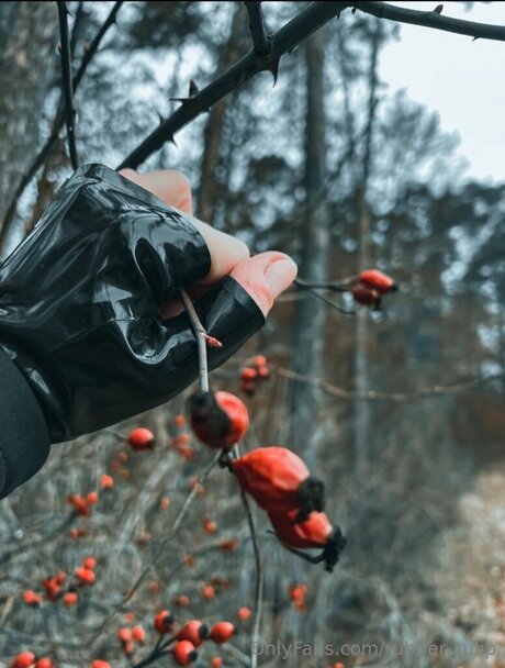 rubber tulip art pornstar photos