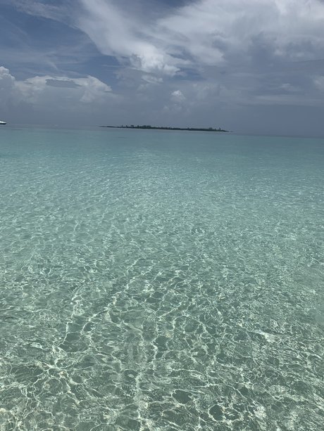 Costaricanpapii sex star images