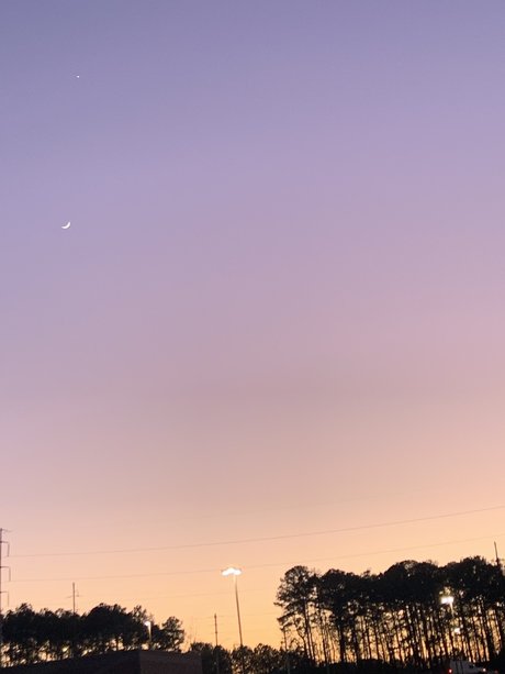 Roxanne Trixxx model pornographic photos